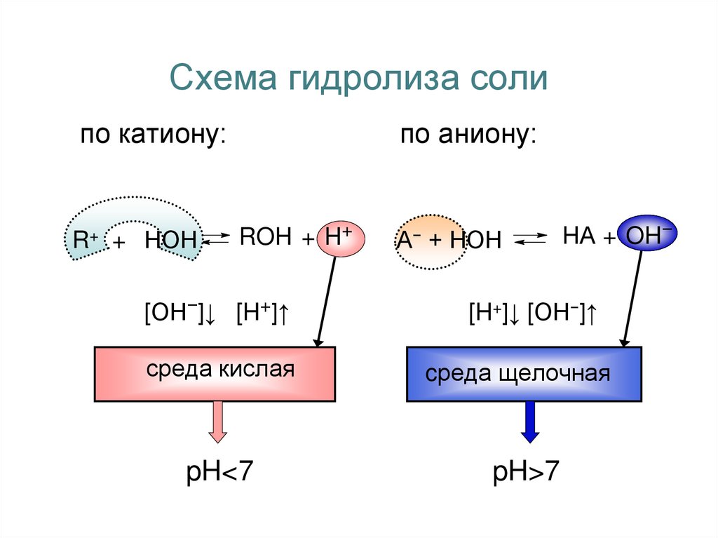 Общая схема гидролиза