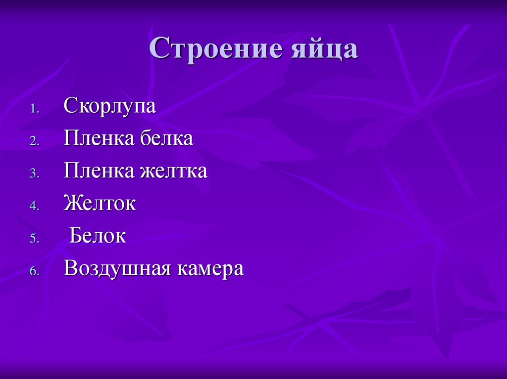 Строение яйца