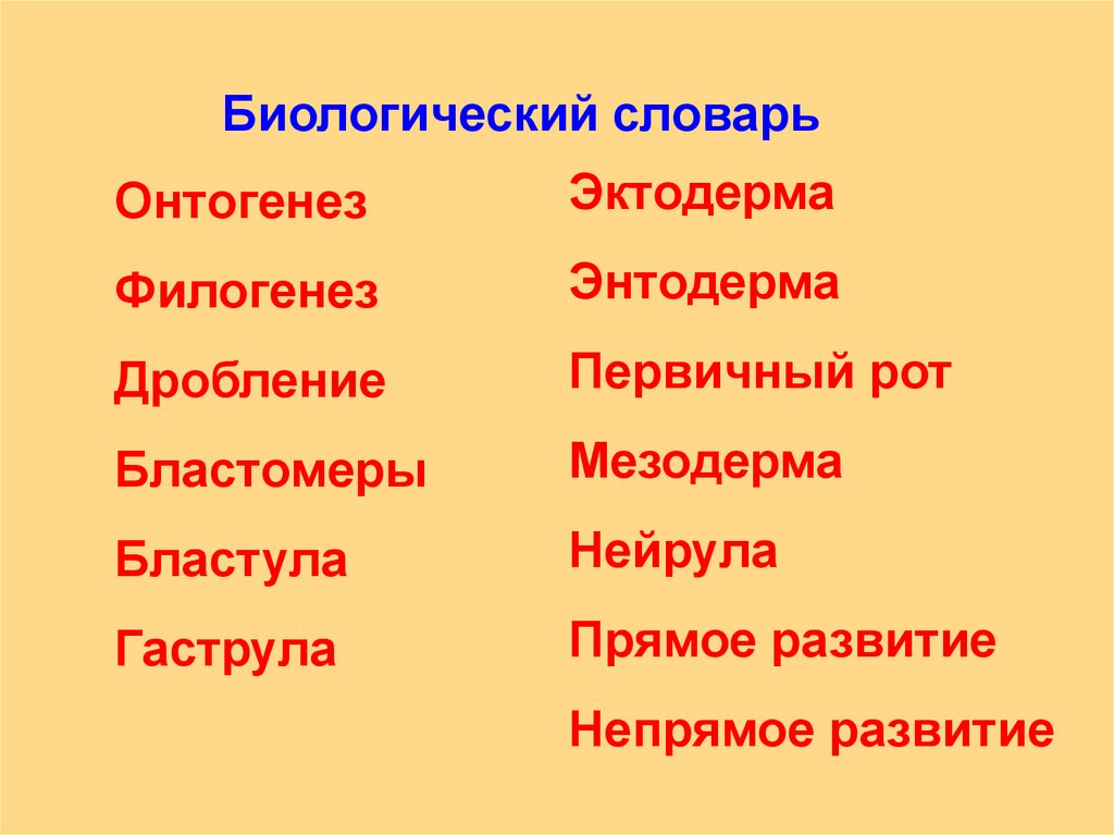 Индивидуальное развитие организмов - презентация онлайн