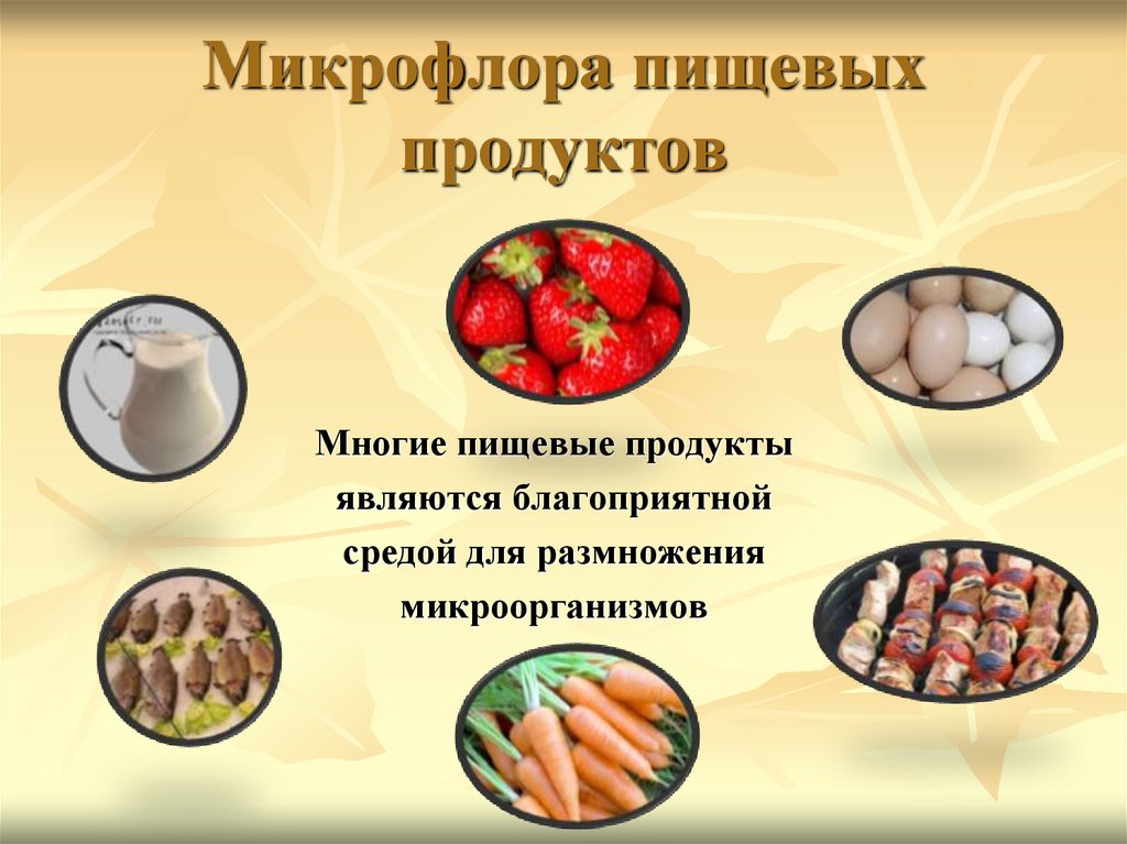 Как можно защитить продукты от бактерий. Микрофлора продуктов питания. Микроорганизмы пищевых продуктов. Качество пищевых продуктов.