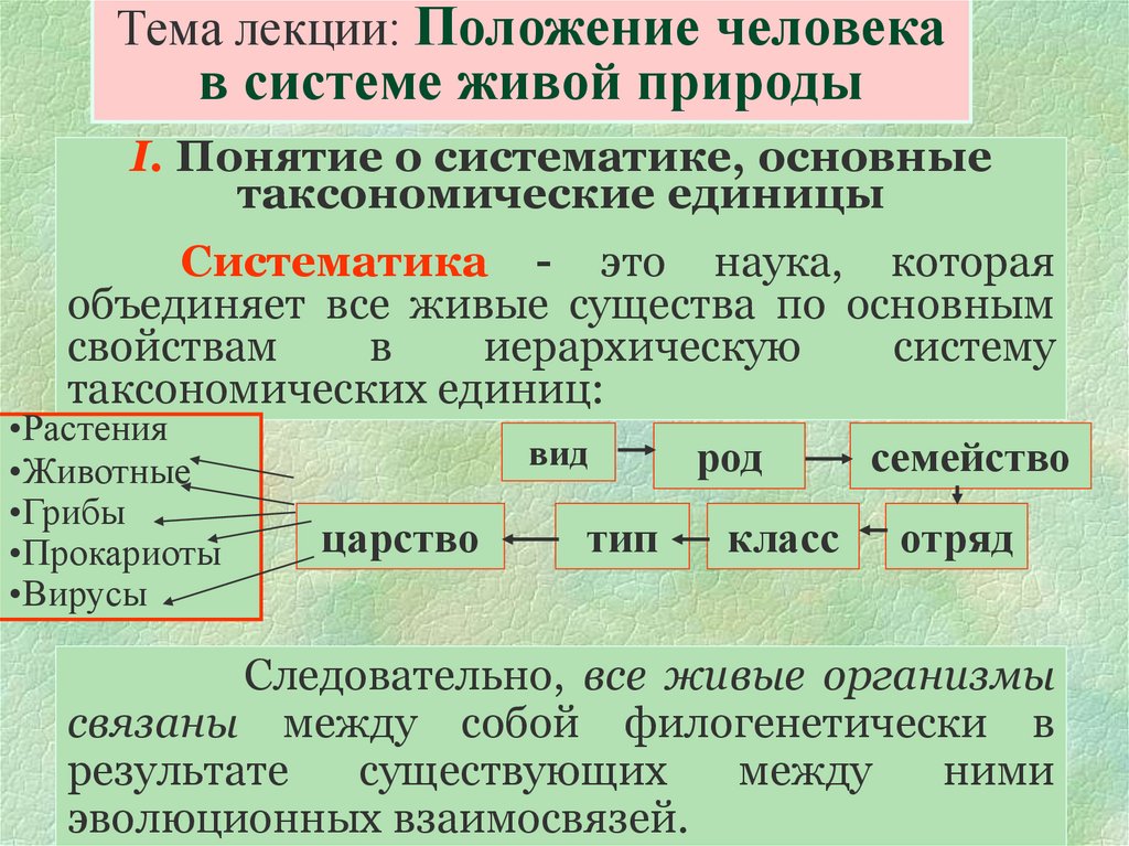 Положение человека в природе