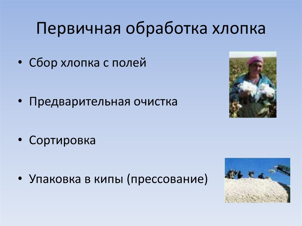 Первичная обработка хлопка