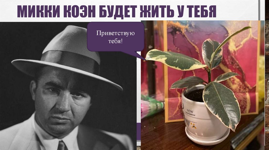 Гангстер Микки Коэн - презентация онлайн