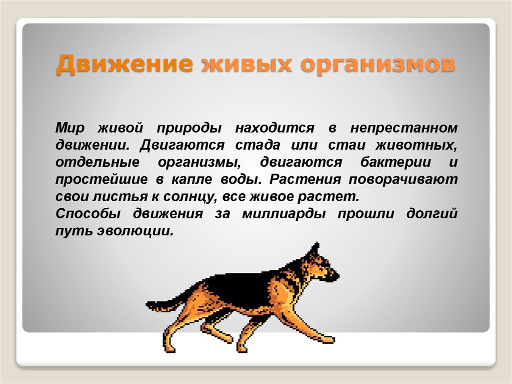 Презентация на тему движение. Движение живых организмов. Способы движения живых организмов. Способы передвижения живых организмов. Презентация движение живых организмов.