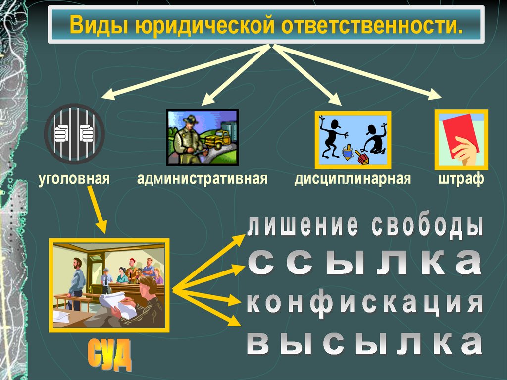 Виды юридической ответственности.