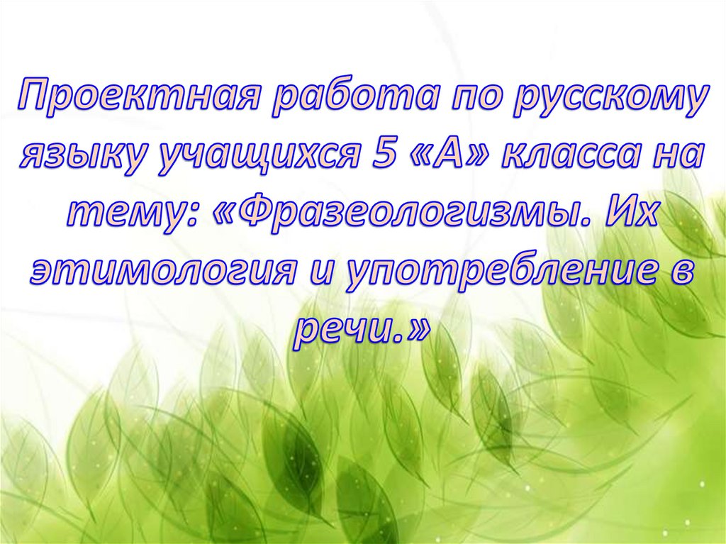 Проект по русскому языку 8 класс на тему