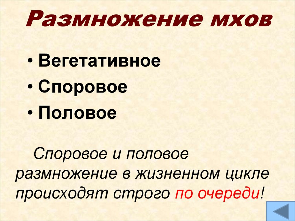 Размножение мхов