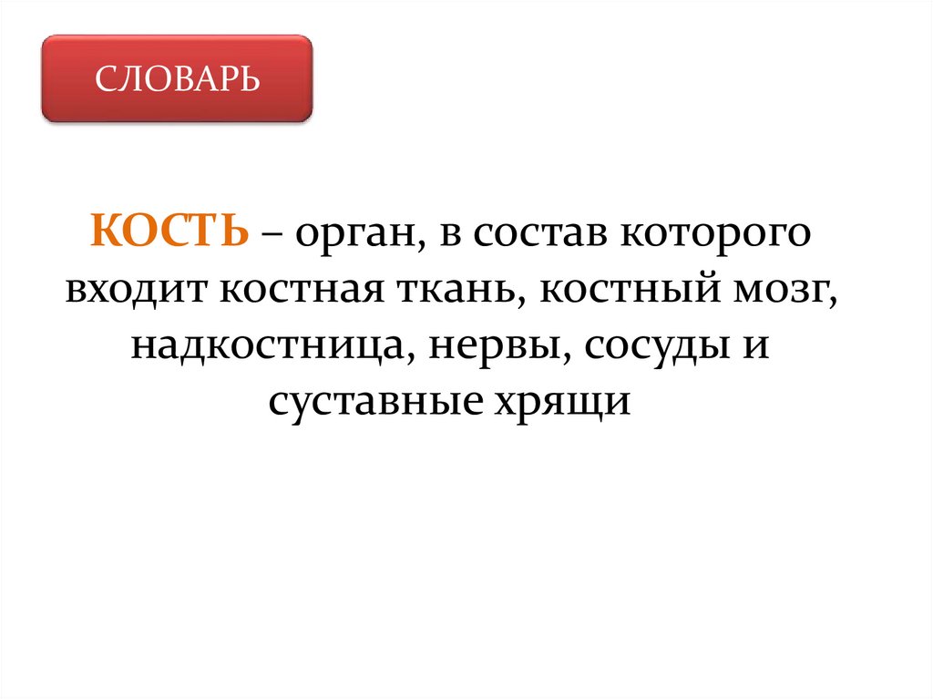 Кость это орган. Кость орган в состав которого входит.