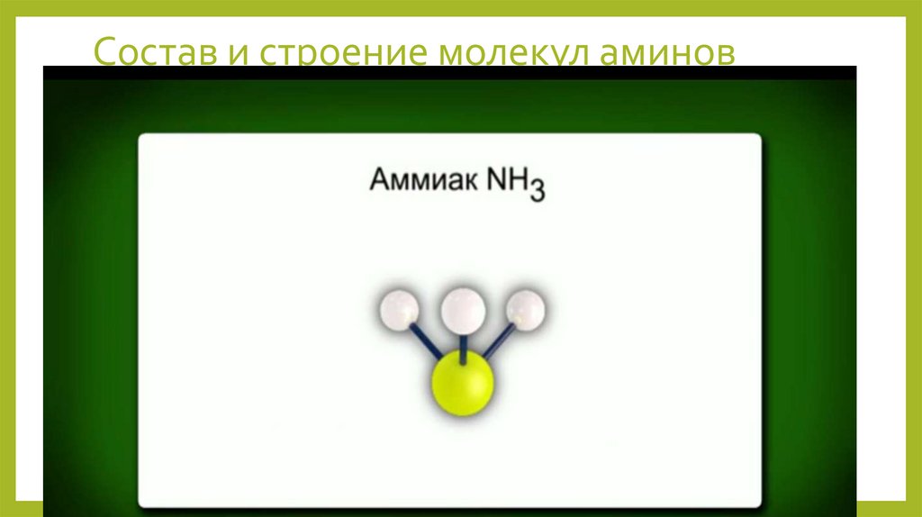 Амины. 10 класс - презентация онлайн
