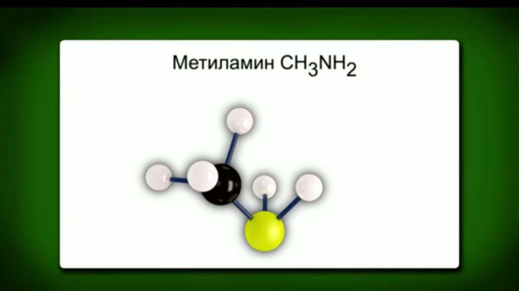 Амины. 10 класс - презентация онлайн