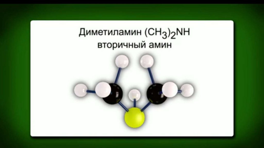 Амины. 10 класс - презентация онлайн