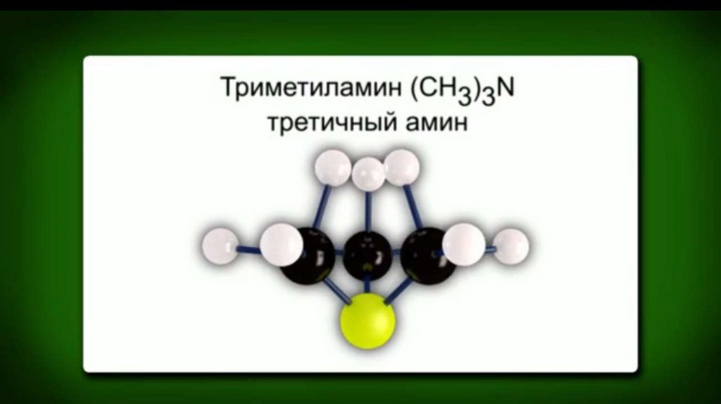 Амины. 10 класс - презентация онлайн