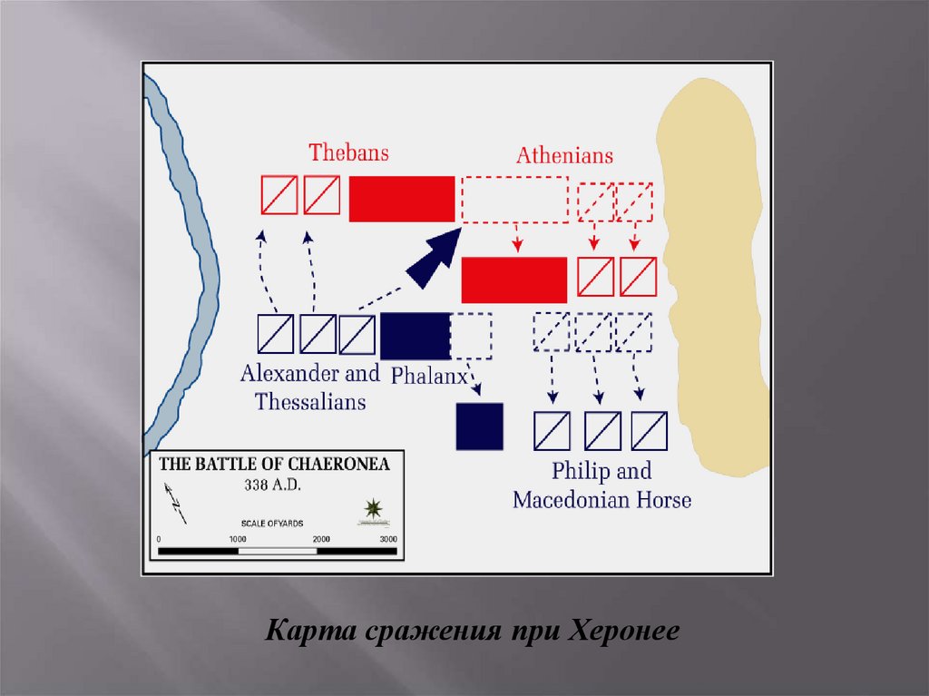 Битва при херонее. Сражение при Херонее на карте. Битва при Херонее 338 г до н.э карта. Битва при Херонее план. Битва при Херонее схема.