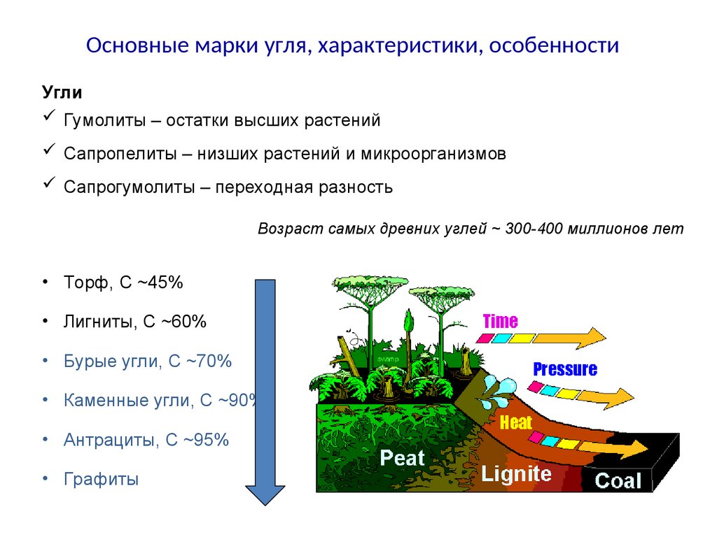 Особенность угля. Классификация угля. Маркировка угля. Классификация угля по маркам. Характеристики угля по маркам.