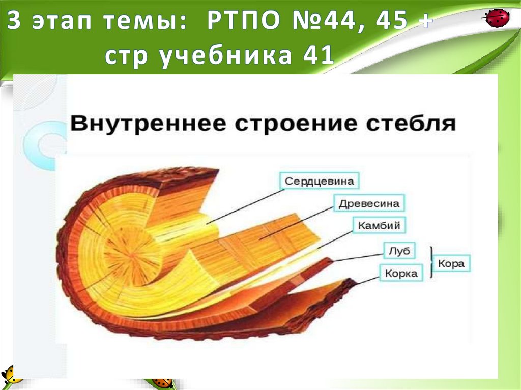 3 этап темы: РТПО №44, 45 + стр учебника 41