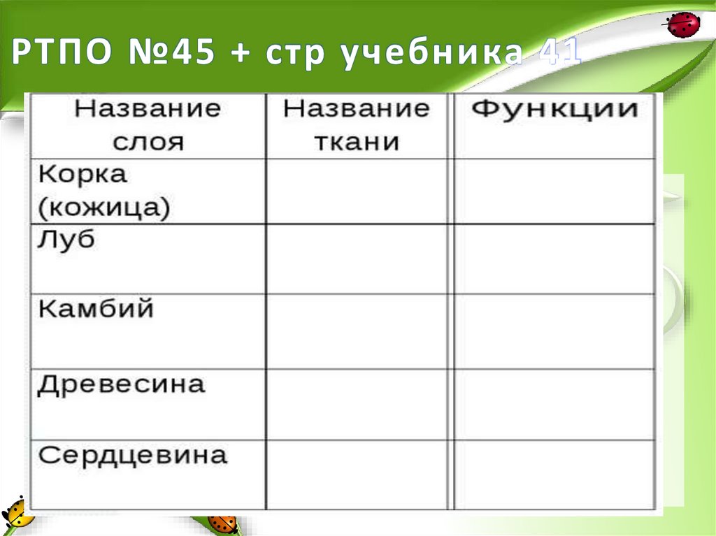 РТПО №45 + стр учебника 41