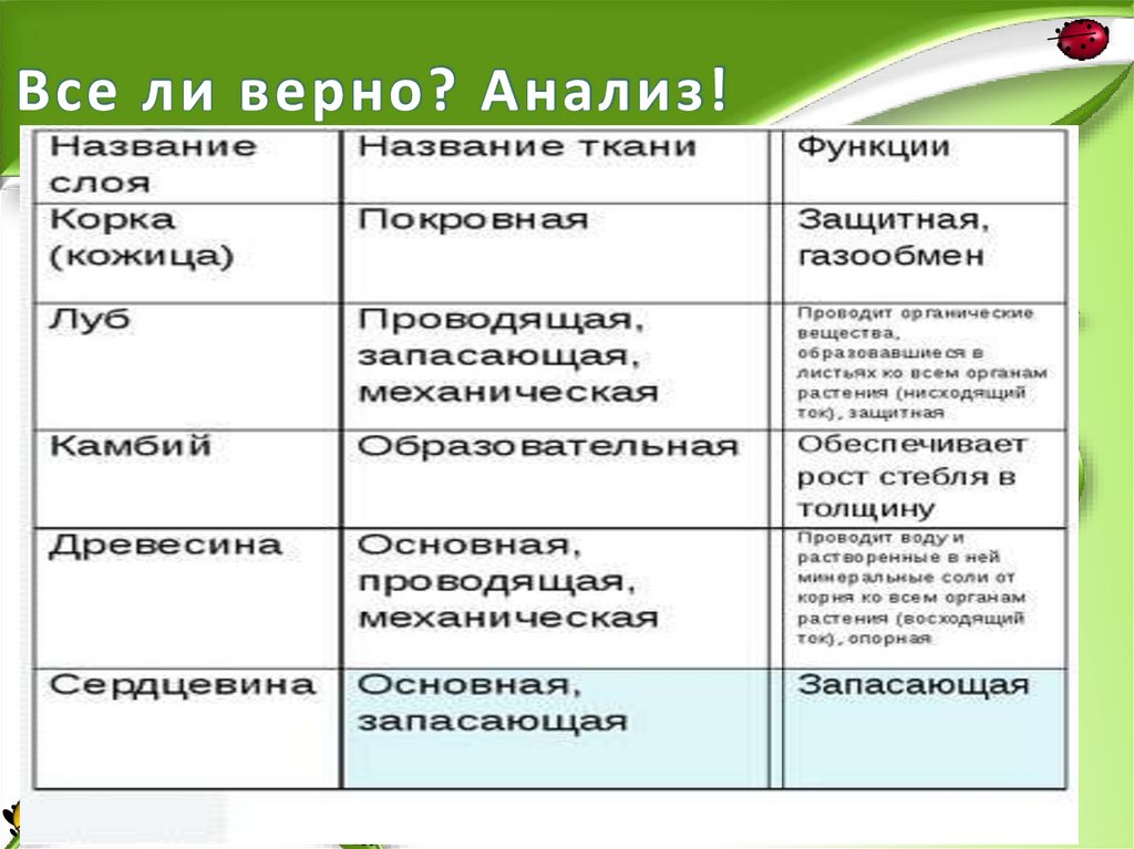 Все ли верно? Анализ!