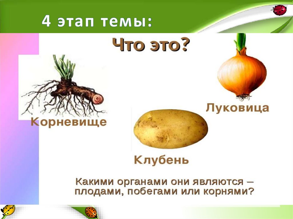 4 этап темы: