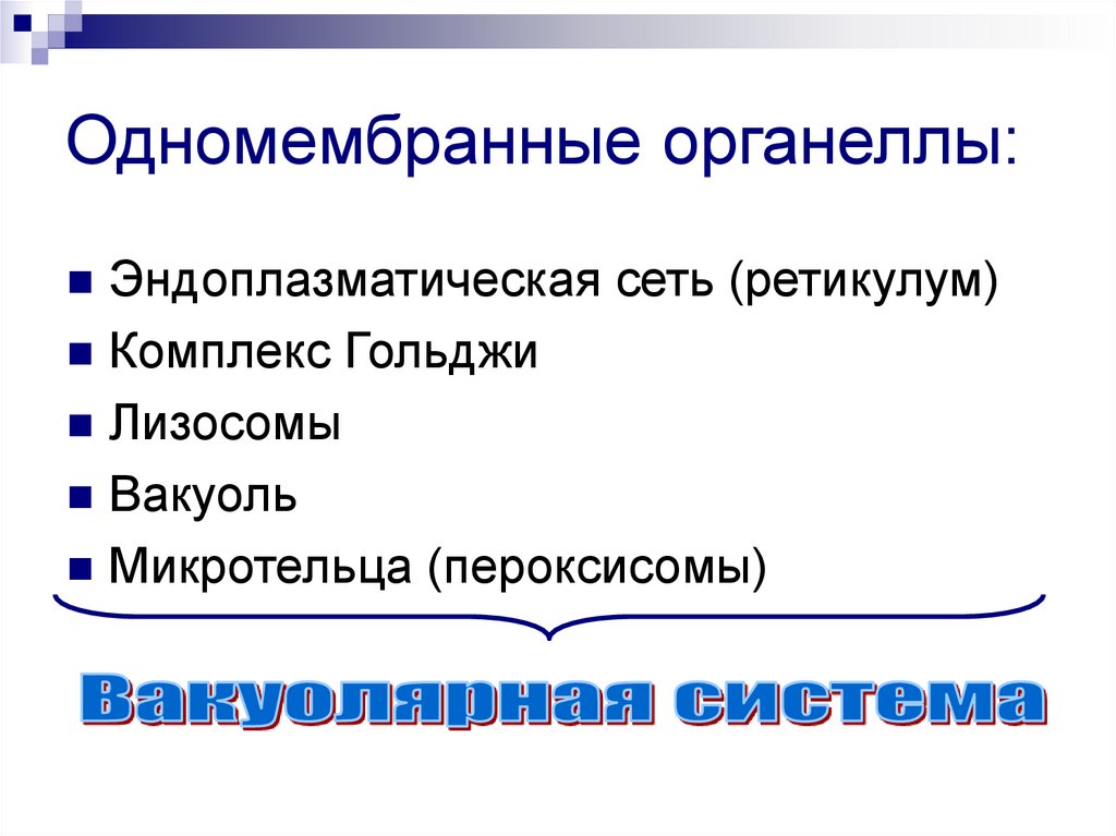 Одномембранный органоид наличие крист