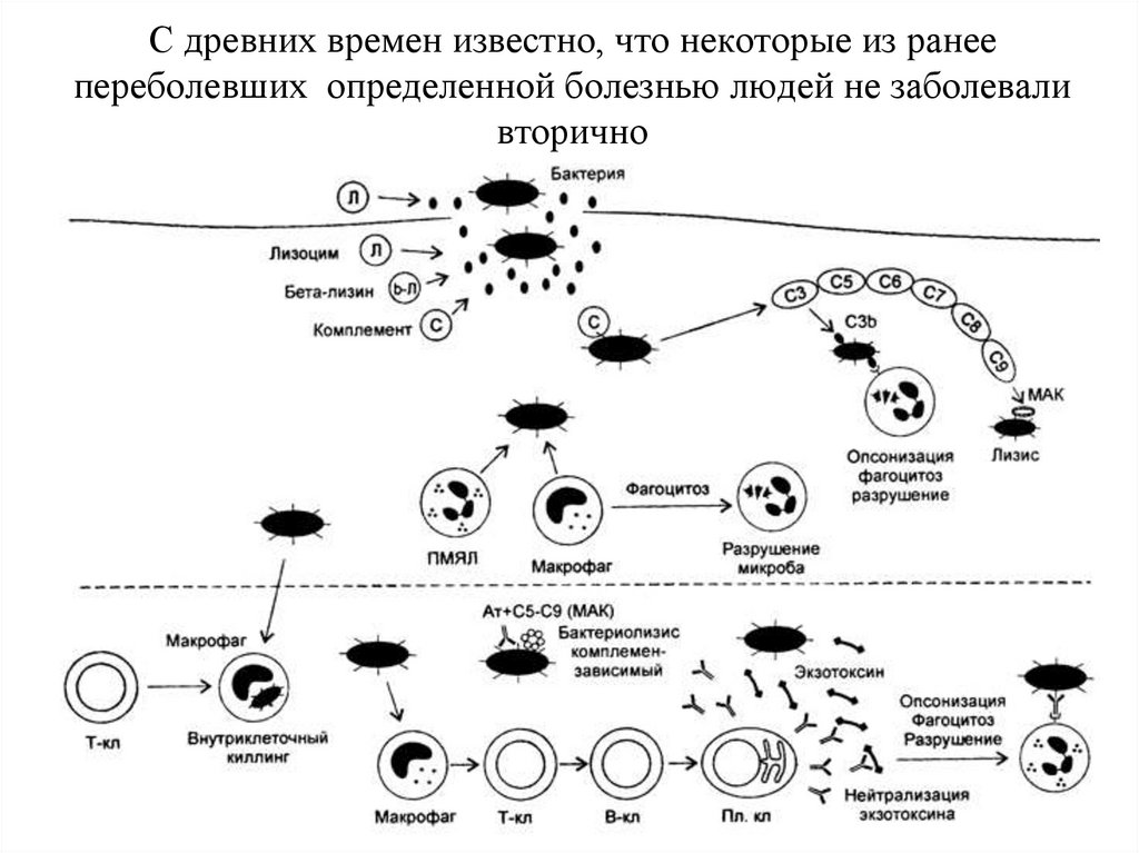 Рассмотрите изображение человека с определенным заболеванием что это