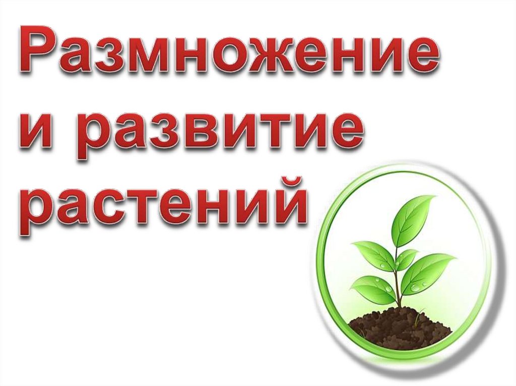 Размножение и развитие растений 3 класс презентация школа россии