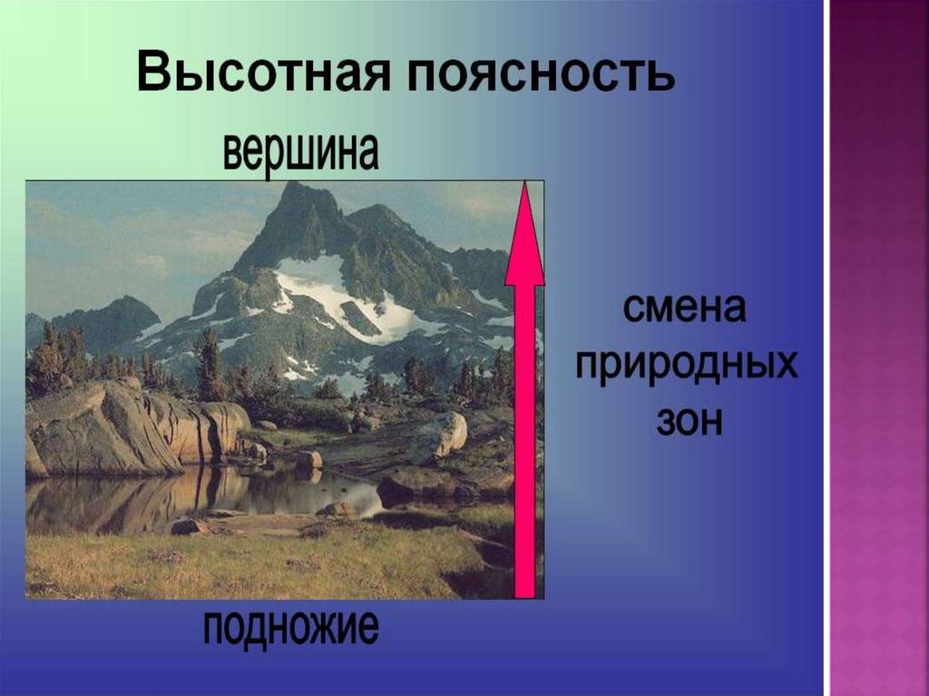 Различия высотной поясности в горах. Высотная поясность это в географии 7 класс. Высотная поясность в горах. География 8 Высотная поясность Кавказа. Высотная поясность презентация.