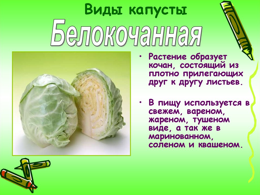 Капустные овощи таблица. Капуста для презентации. Разновидности нарезки капусты. Виды капустных. Простые формы нарезки капусты.