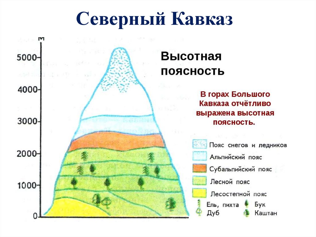 Высотная поясность таблица природные зоны