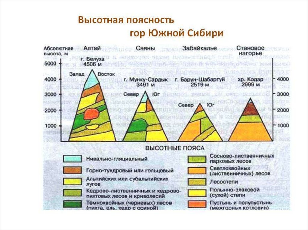 Различия высотной поясности в горах. Высотная поясность класс 8 класс. Высотная поясность Кавказа 8 класс география. Высотная поясность 8 класс Уральские горы. Высотная поясность это в географии 7 класс.