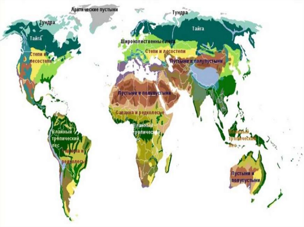 Природные зоны земли биология 5. Природные зоны земли карта. Карта природных зон земли для подготовительной группы.
