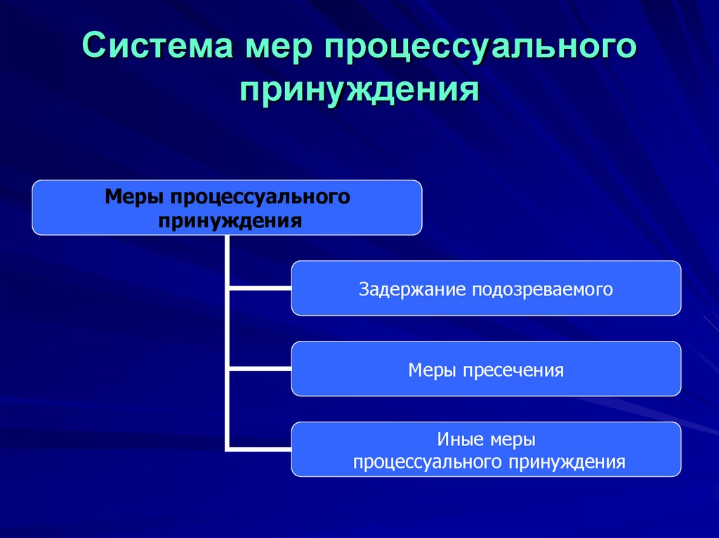 Иные меры процессуального принуждения