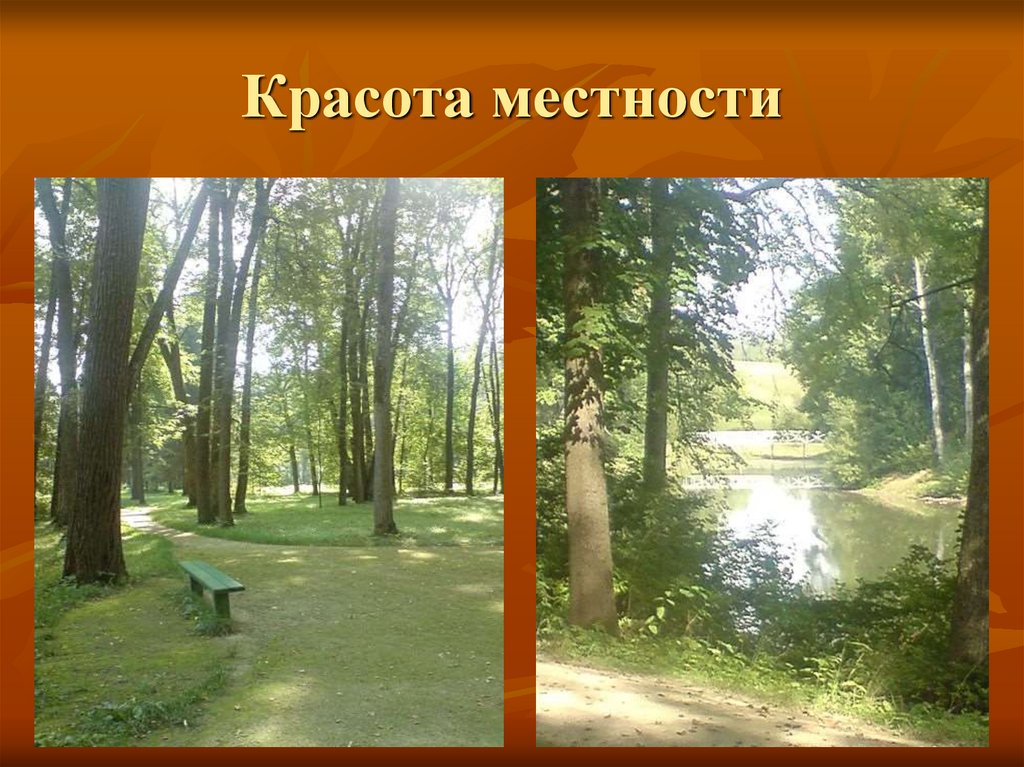 Красота местности