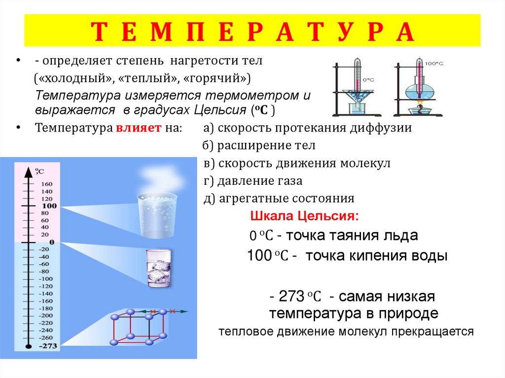 Температура тел находящихся в тепловом равновесии