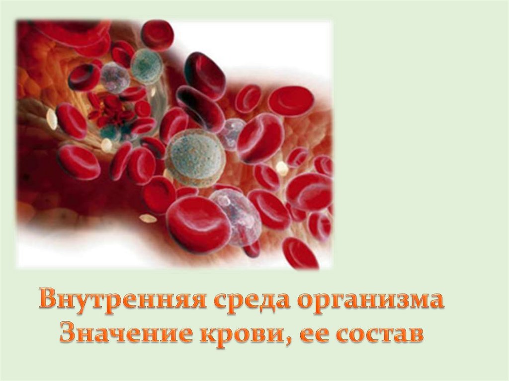 Какого значение крови для организма. Значение крови. Кровь как внутренняя среда. Кровь и ее состав.