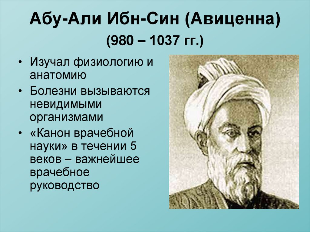 Дети авиценны. Абу ибн сина Авиценна. Ибн сина (Авиценна) (980-1037).