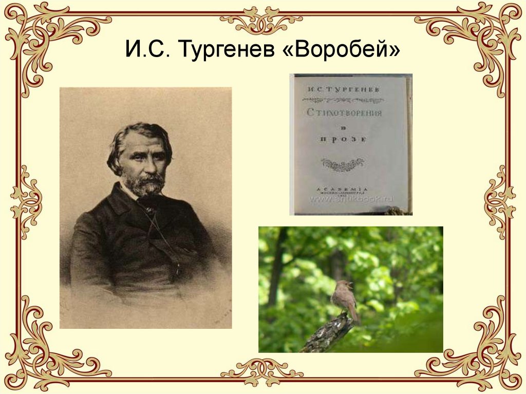Стихотворение в прозе тургенева. Рассказ о тургеневе. Стихотворения в прозе. Рассказ воробей тургенев. Стихотворение собака тургенев.