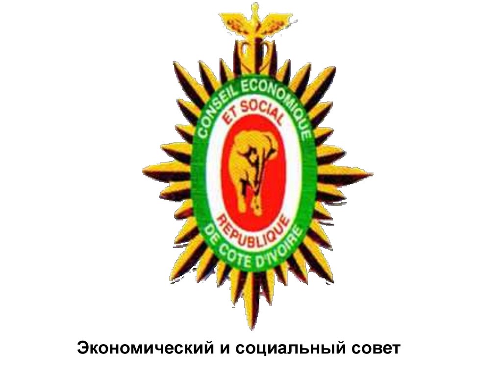 Экономический и социальный совет