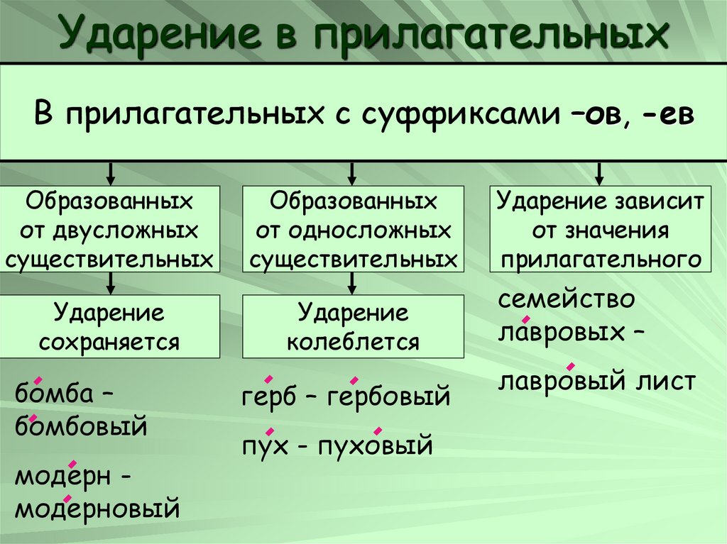 Поставьте ударение приняли экспресс километр