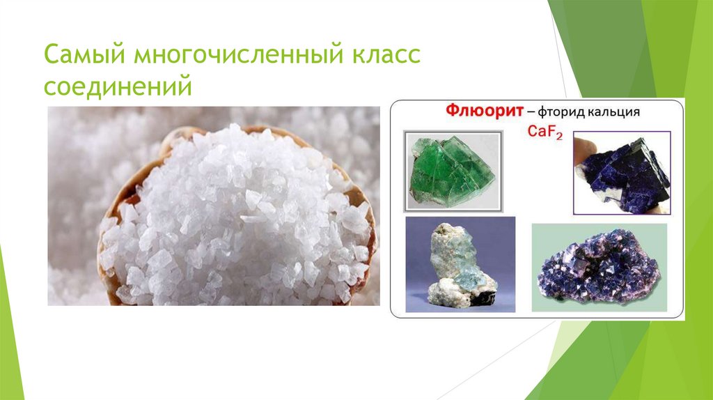 Является самым многочисленным классом. Общая характеристика насекомых. Листья голосеменных игольчатые жесткие. Вещества которые являются солями. Самое многочисленное население.
