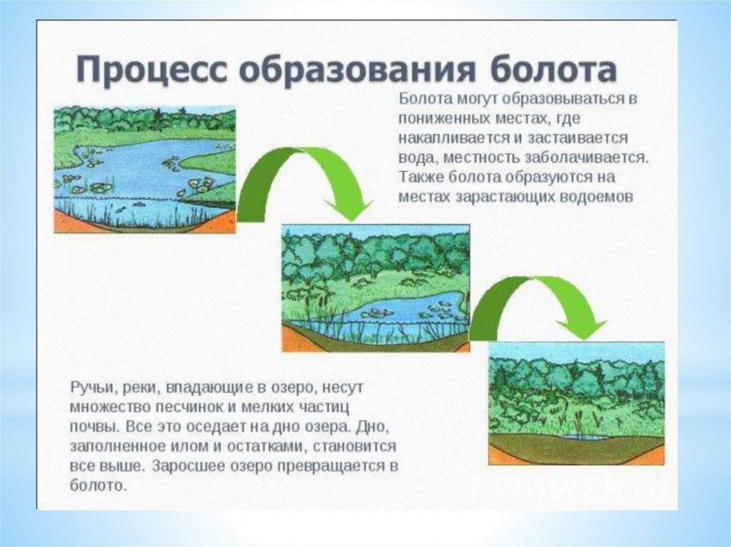Озера. Озеро Байкал, РФ - презентация онлайн