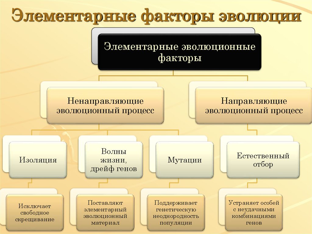 Схема факторов эволюции