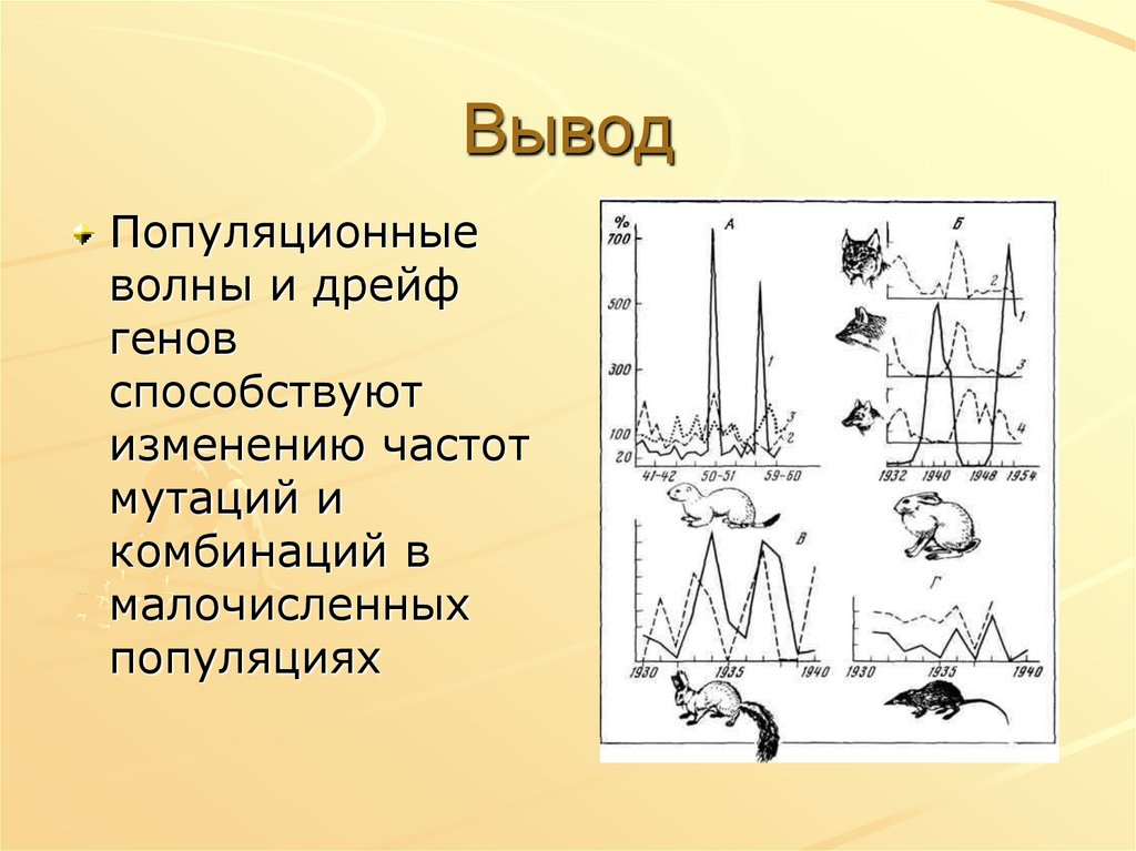 Дрейф это. Популяционные волны и дрейф генов. Дрейф генов способствует снижению частоты мутаций. Роль популяционные волны и дрейф генов. Дрейф генов способствует: мутаций.