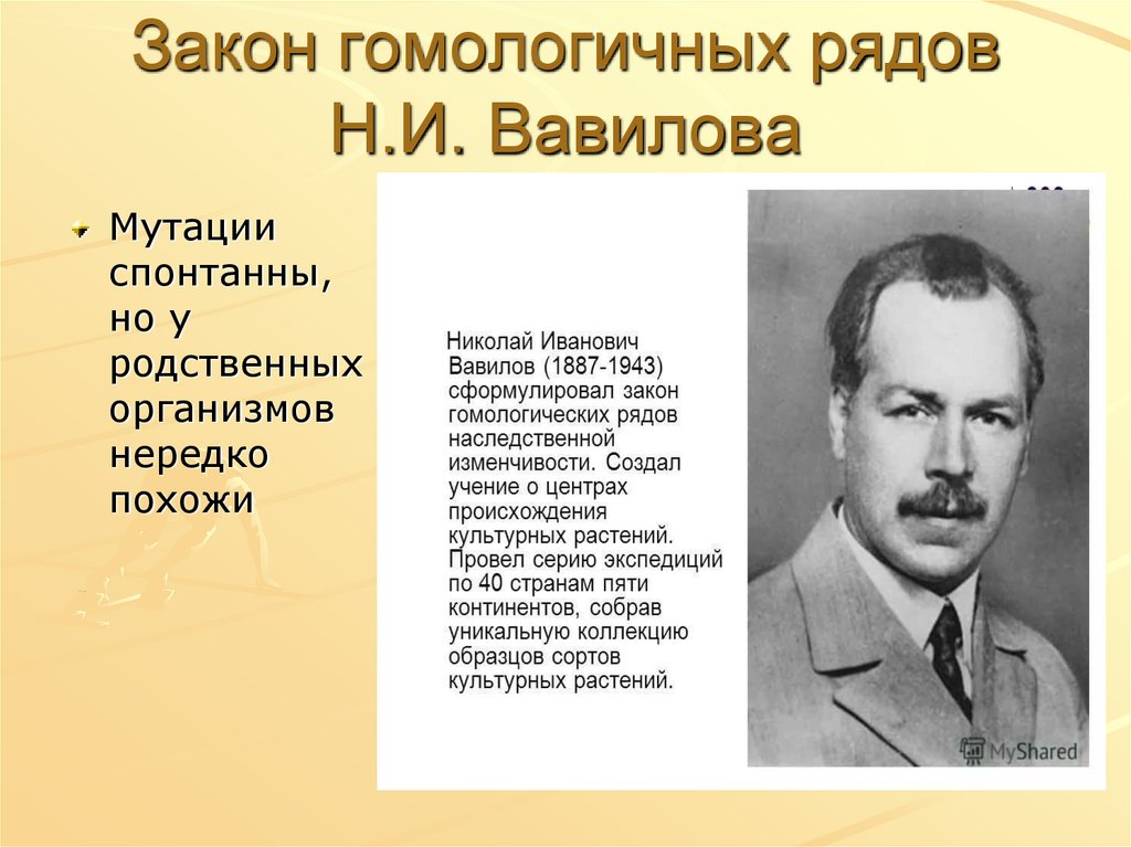 Закон гомологических рядов. Закон гомологических рядов Вавилова. Гомологических рядов н. н. Вавилова. Закон Николая Ивановича Вавилова. Значение закона гомологических рядов н.и Вавилова.