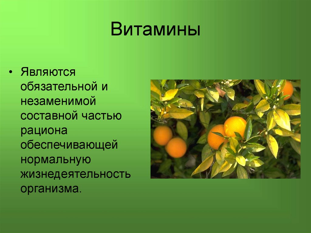 Витамины