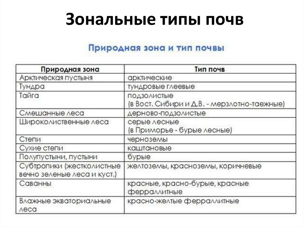 Числовой Тип данных в SQL. Зональные типы. Numeric Тип данных SQL. Типы данных SQL.