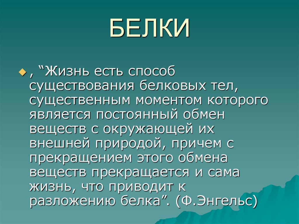 БЕЛКИ