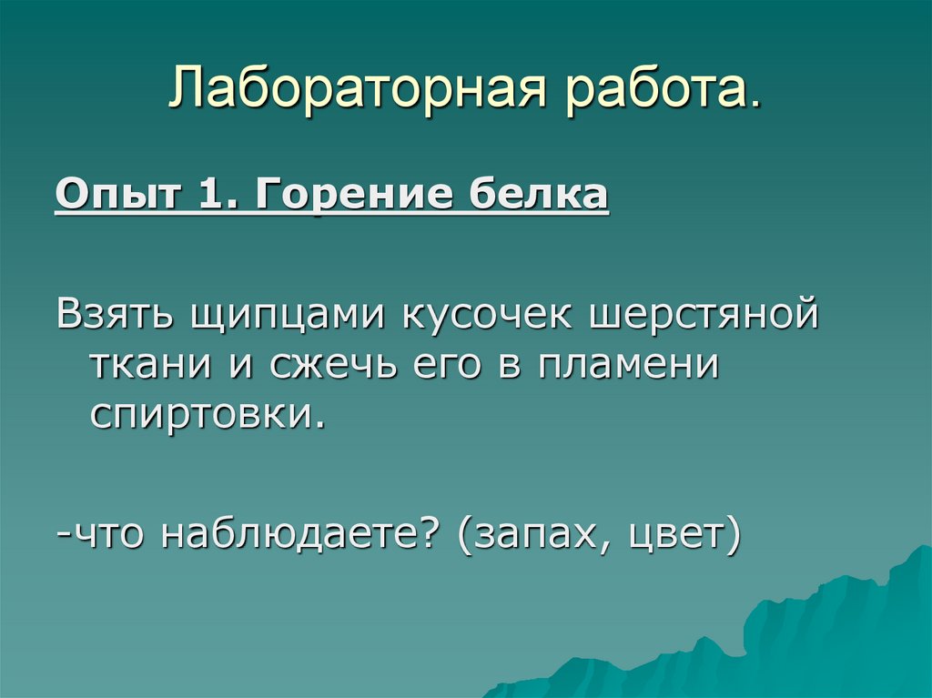Лабораторная работа.