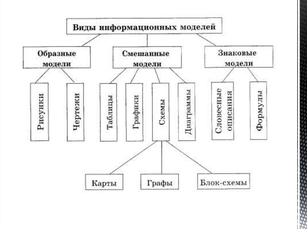 Контрольная информационное моделирование по информатике 8 класс