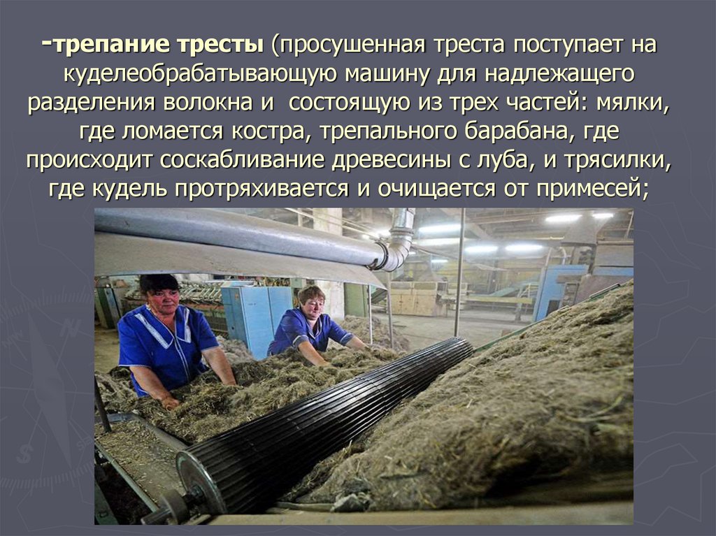 -трепание тресты (просушенная треста поступает на куделеобрабатывающую машину для надлежащего разделения волокна и состоящую из