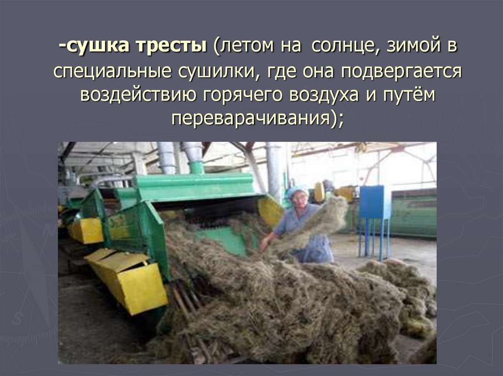 -сушка тресты (летом на солнце, зимой в специальные сушилки, где она подвергается воздействию горячего воздуха и путём
